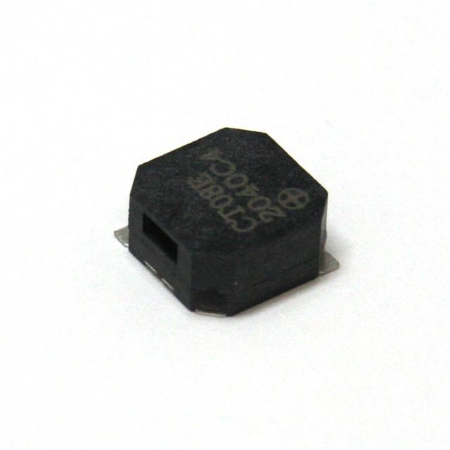 Challenge Electronics_CT08E-06S300-2