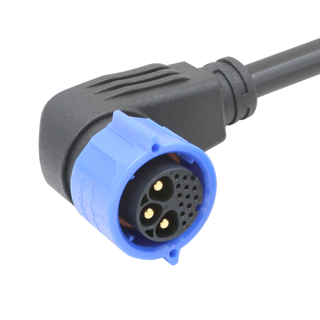 Chogori Technologies_1IC03622051601