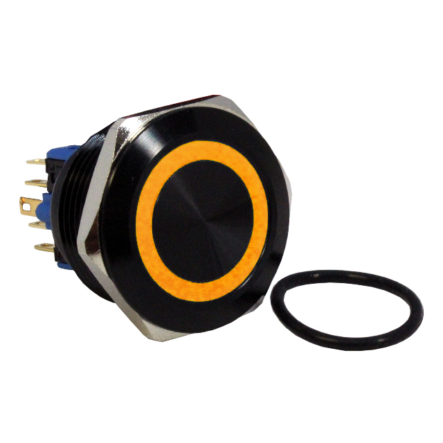CIT Relay and Switch_DH301LBBON