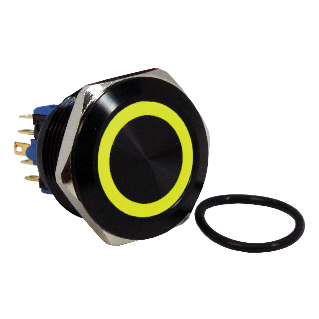 CIT Relay and Switch_DH301LBBYN