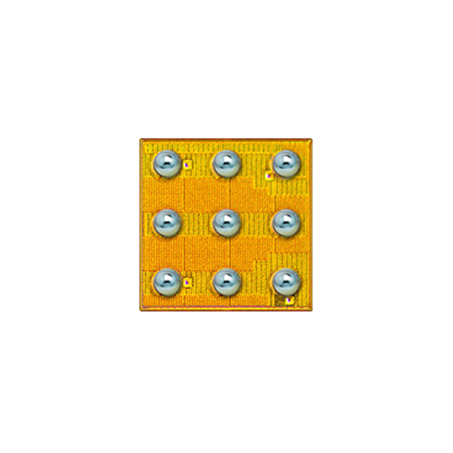EPC_EPC2039