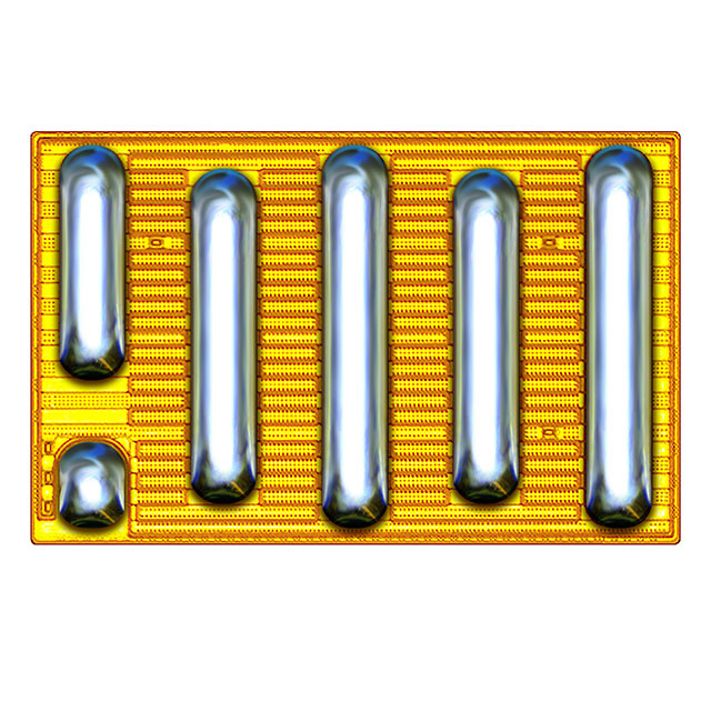 EPC_EPC2204