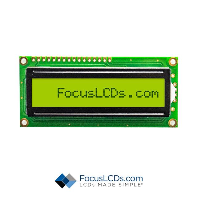 Focus LCDs_C161A-YTY-LW63