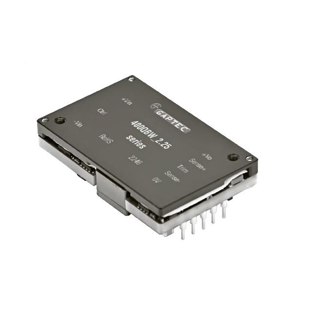 GAPTEC Electronic_400QBW_4812S2.25
