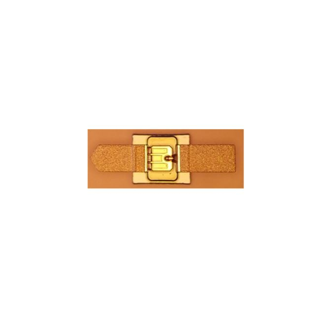 MACOM Technology Solutions_MA4GP905