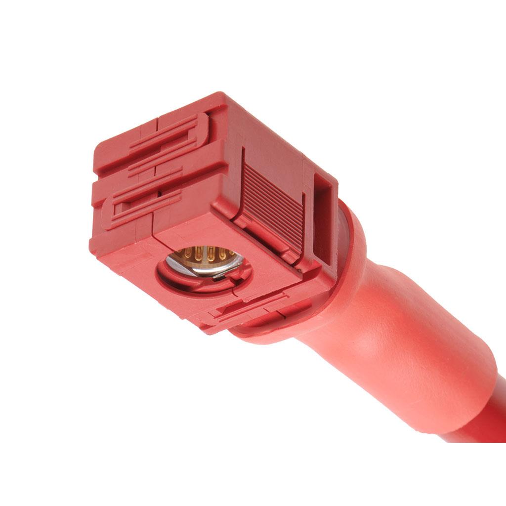 Molex_02243561216
