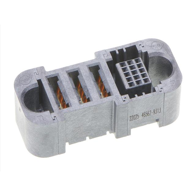 Molex_0465629313