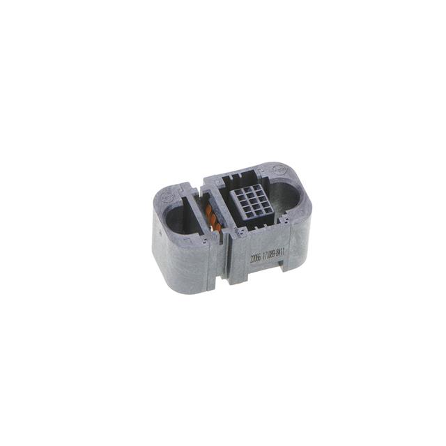 Molex_1710898411