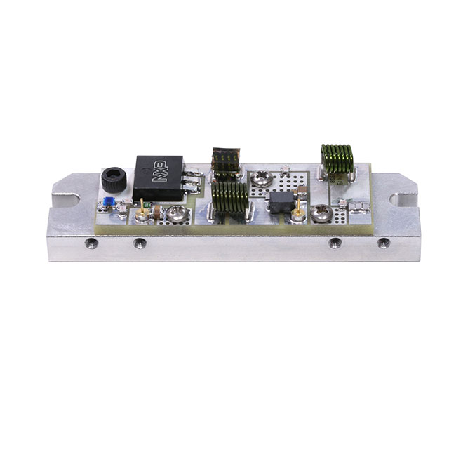 NXP Semiconductors_MRF101AN-50MHZ