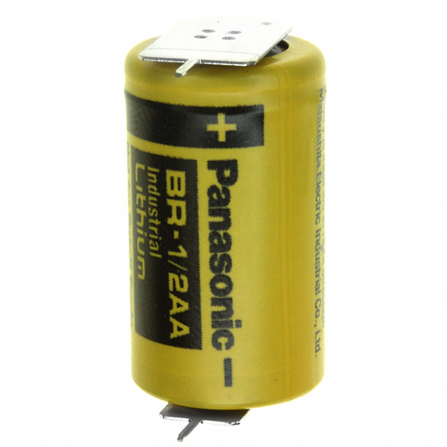 Panasonic_BR-1/2AAE5PN