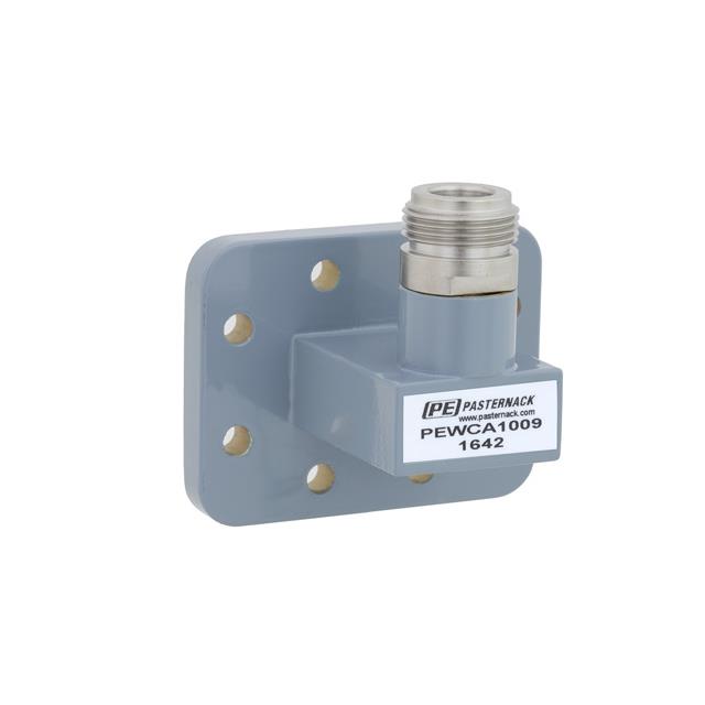 Pasternack_PEWCA1009