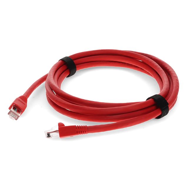 ProLabs_C-2FCAT6A-RD