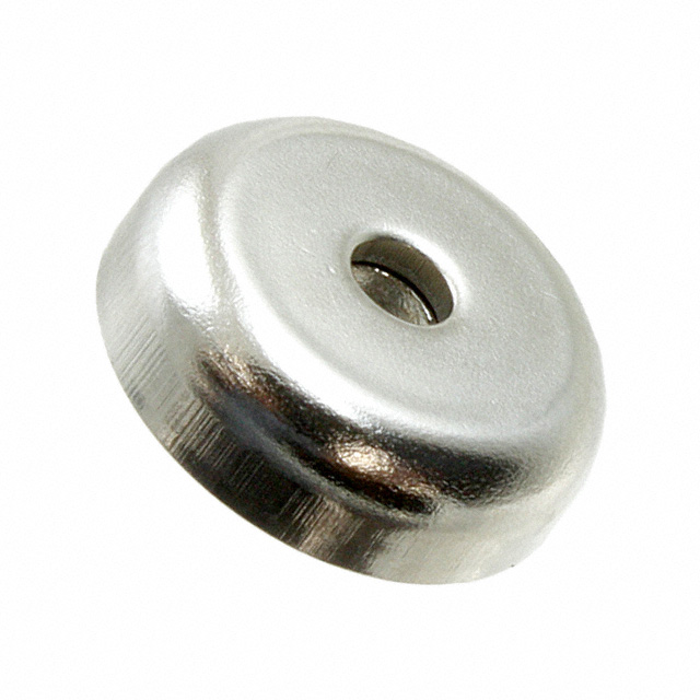 Radial Magnets, Inc._8217