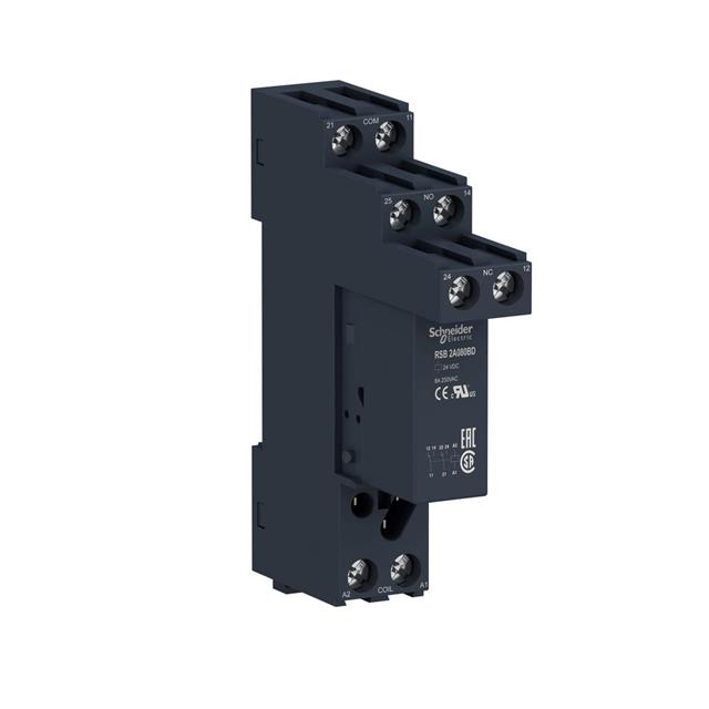 Schneider Electric_RSB2A080BDS