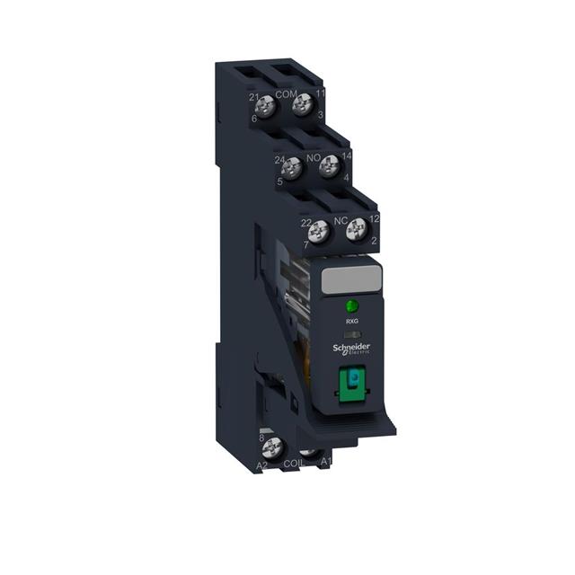 Schneider Electric_RXG22BDPV