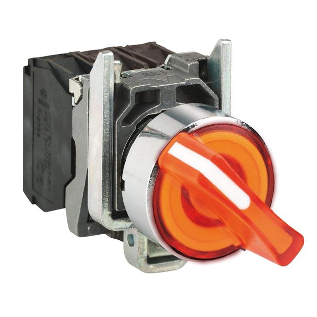 Schneider Electric_XB4BK125B5