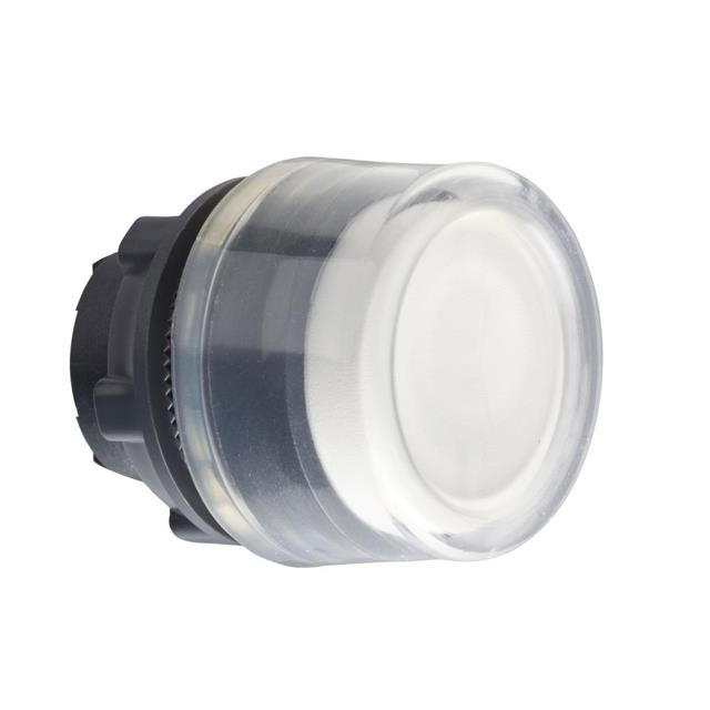 Schneider Electric_ZB5AP1