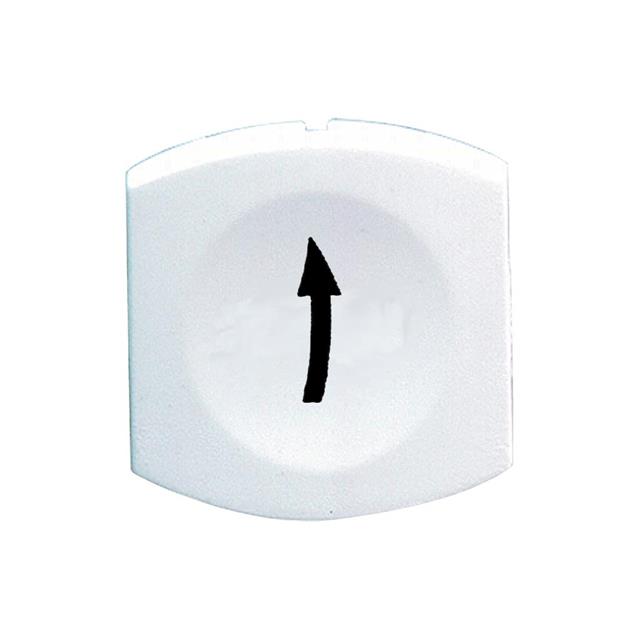 Schneider Electric_ZB6YC119