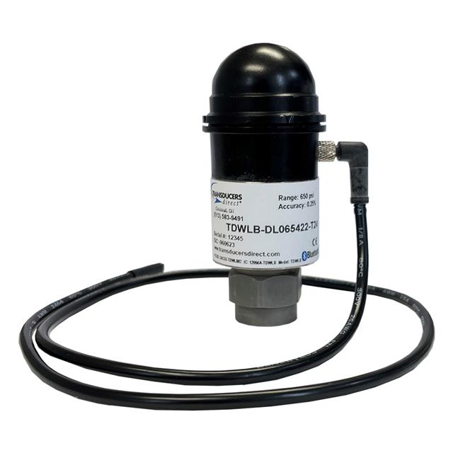 Transducers Direct_TDWLB-DL0250424-T24
