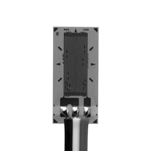 VPG Micro-Measurements_MMF404778