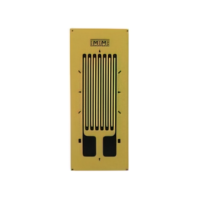 VPG Micro-Measurements_MMF404814