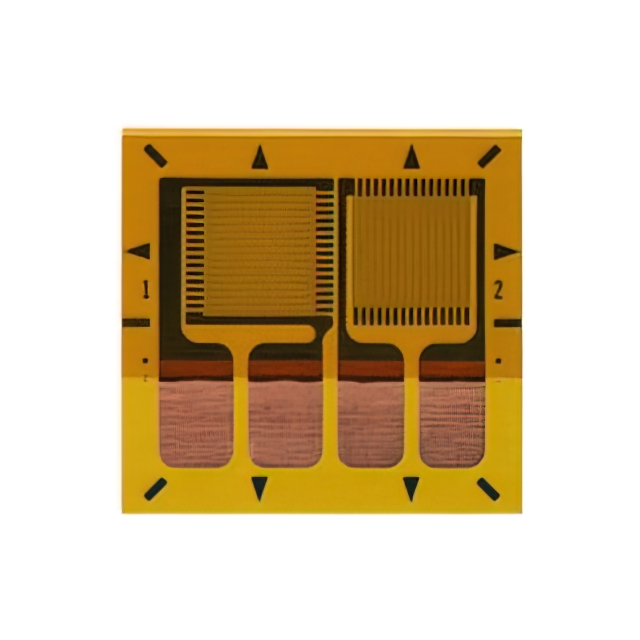 VPG Micro-Measurements_MMF404741