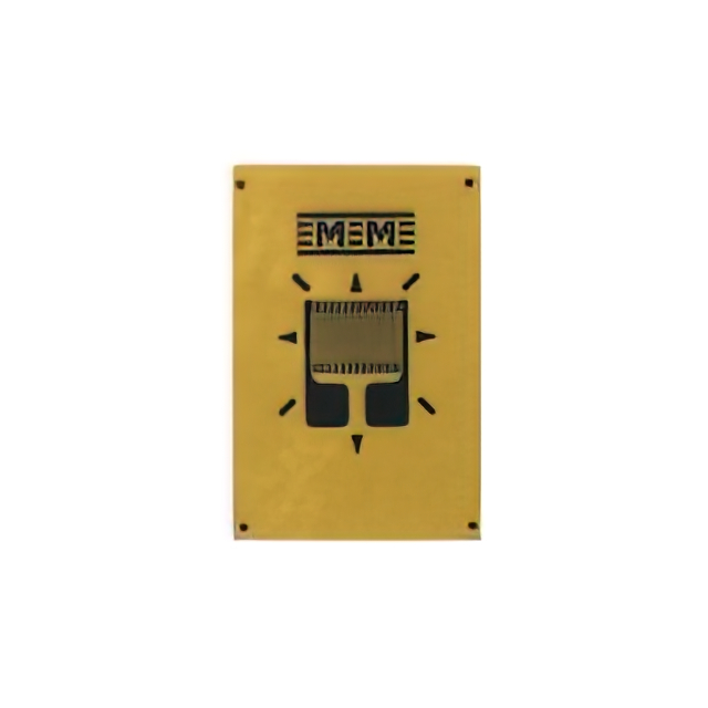 VPG Micro-Measurements_MMF404671