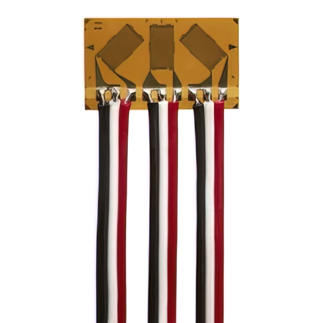 VPG Micro-Measurements_MMF405065