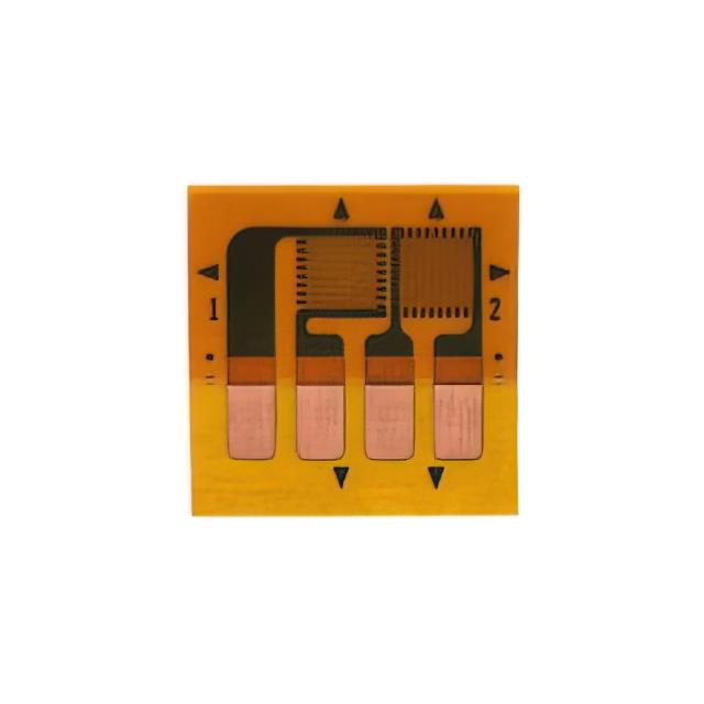 VPG Micro-Measurements_MMF404570