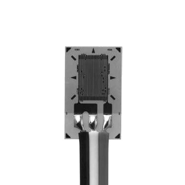 VPG Micro-Measurements_MMF405741
