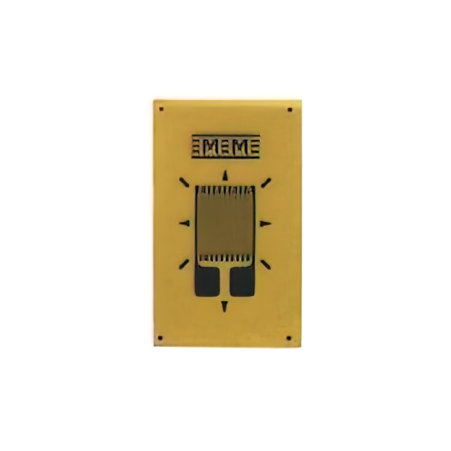 VPG Micro-Measurements_MMF405717