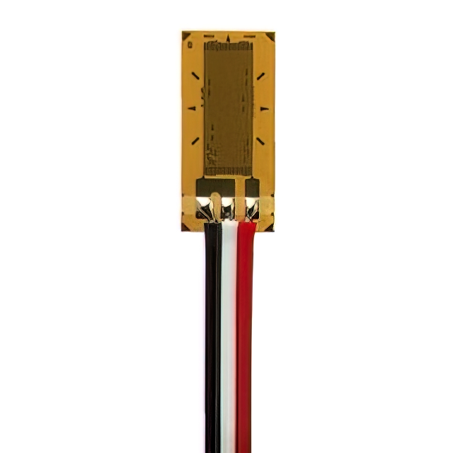 VPG Micro-Measurements_MMF405863