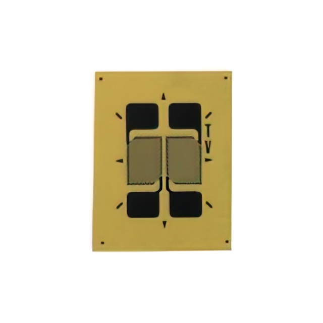 VPG Micro-Measurements_MMF405632