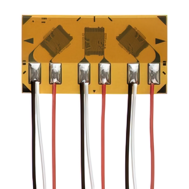 VPG Micro-Measurements_MMF405876