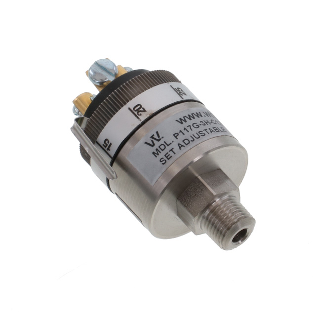 Whitman Controls_P117G-3H-C12TS-DIS
