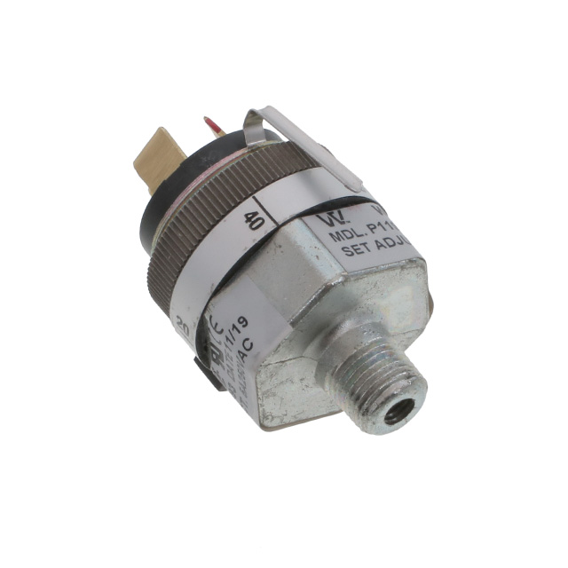 Whitman Controls_P119G-10H-C52TB-DIS