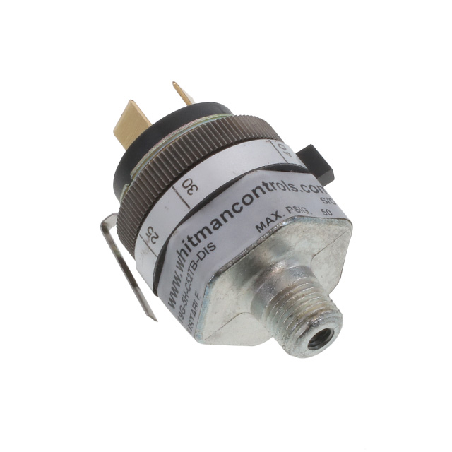 Whitman Controls_P119G-5H-C52TB-DIS