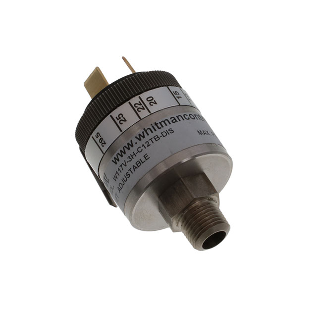 Whitman Controls_W117V-3H-C12TB-DIS