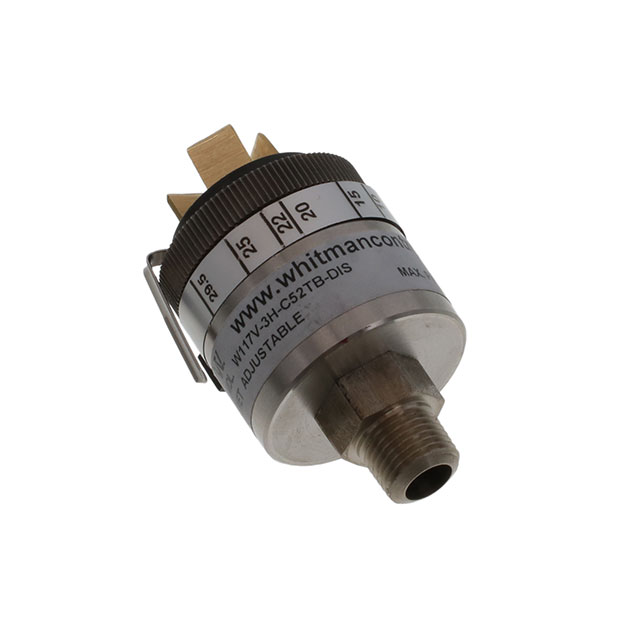 Whitman Controls_W117V-3H-C52TB-DIS