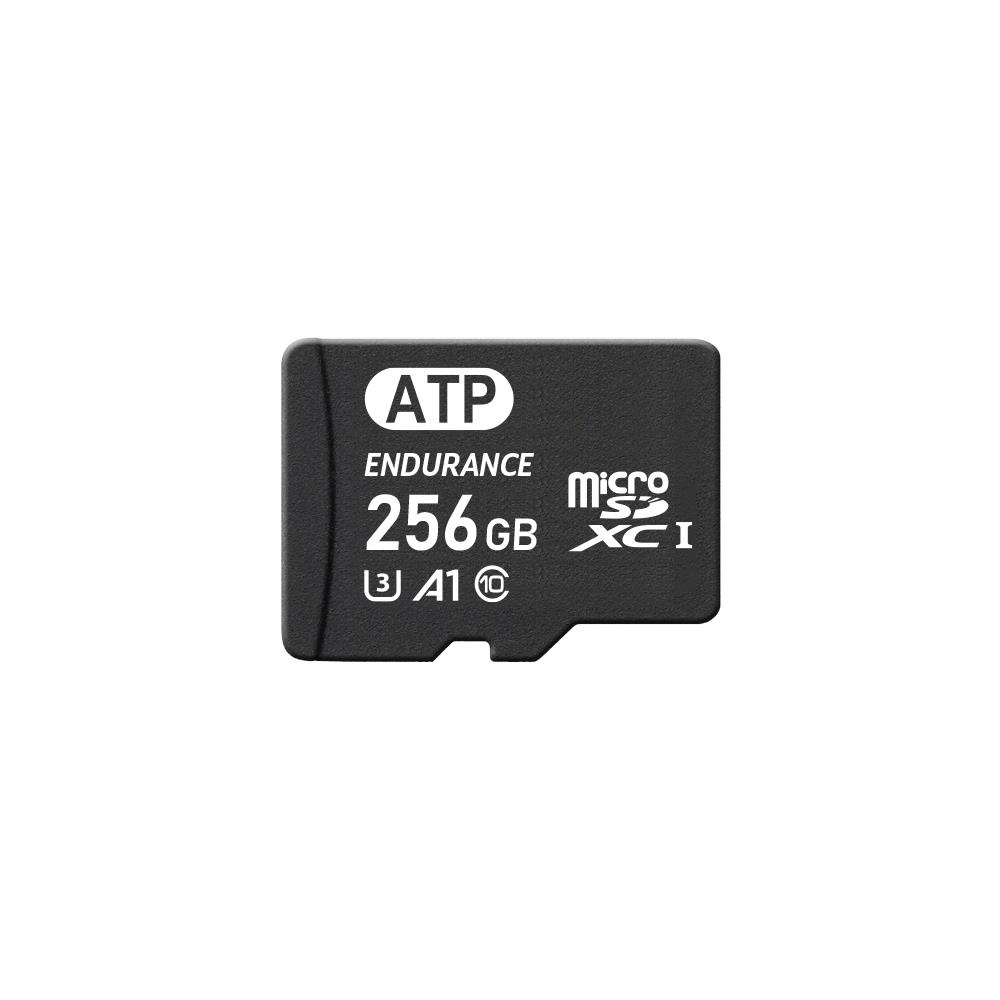 ATP Electronics, Inc._AF256GUD4-EBAIM