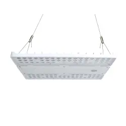 Beyond LED Technology_155530_LOYA | LED Linear High Bay | Adj