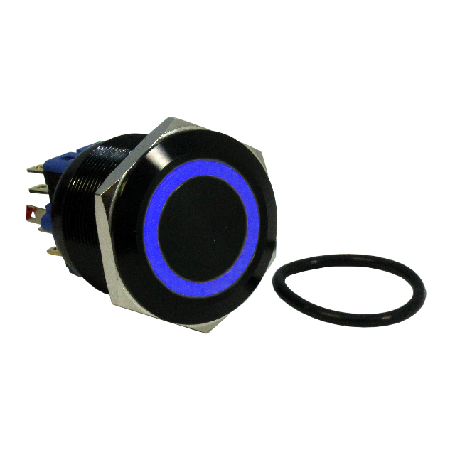 CIT Relay and Switch_DH251NBBBN