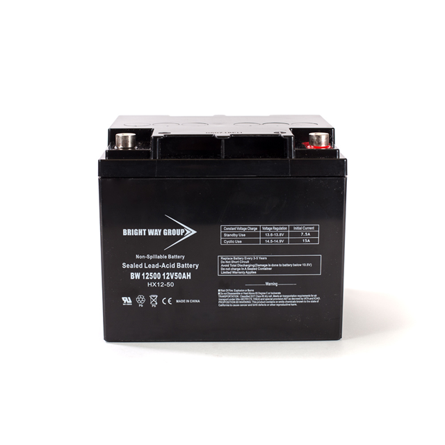 Continental Battery Systems_BW 12500 IT