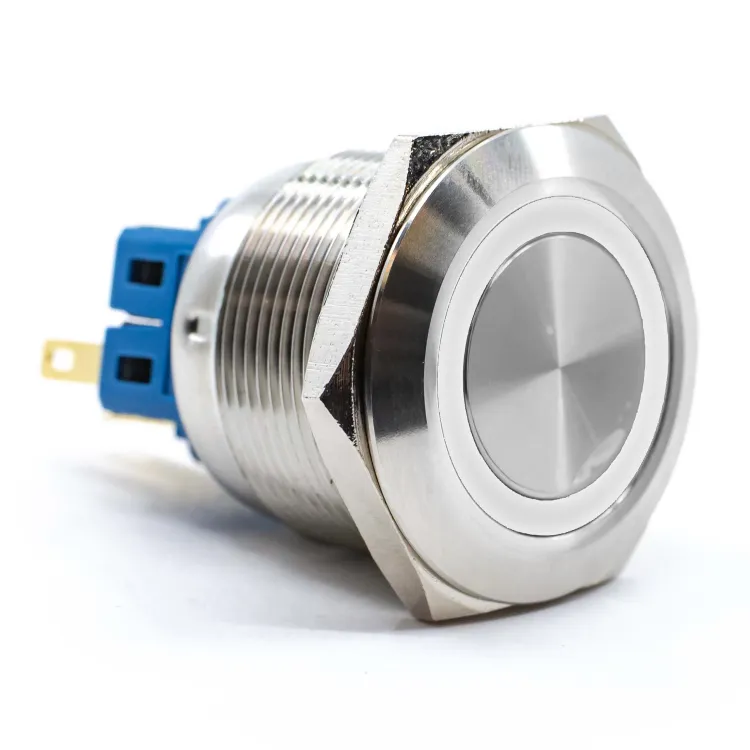 E-Switch_PV8F2T0SS-303_Switch Push Button OFF ON/ON OFF DPST Flat Button 2A 48VDC Maintained Contact Panel Mount Solder Medical