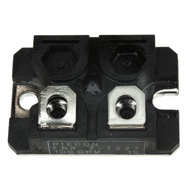 Riedon_FNR2E-100RF1