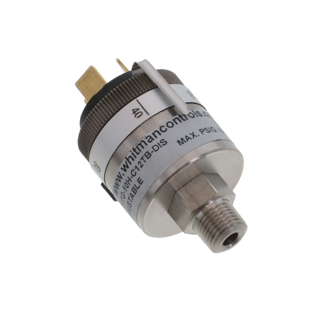 Whitman Controls_P117G-10H-C12TB-DIS