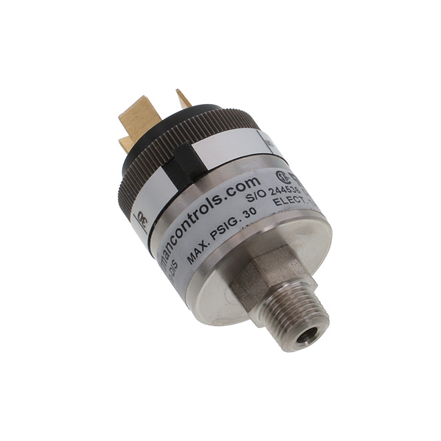 Whitman Controls_P117G-3H-C12TB-DIS