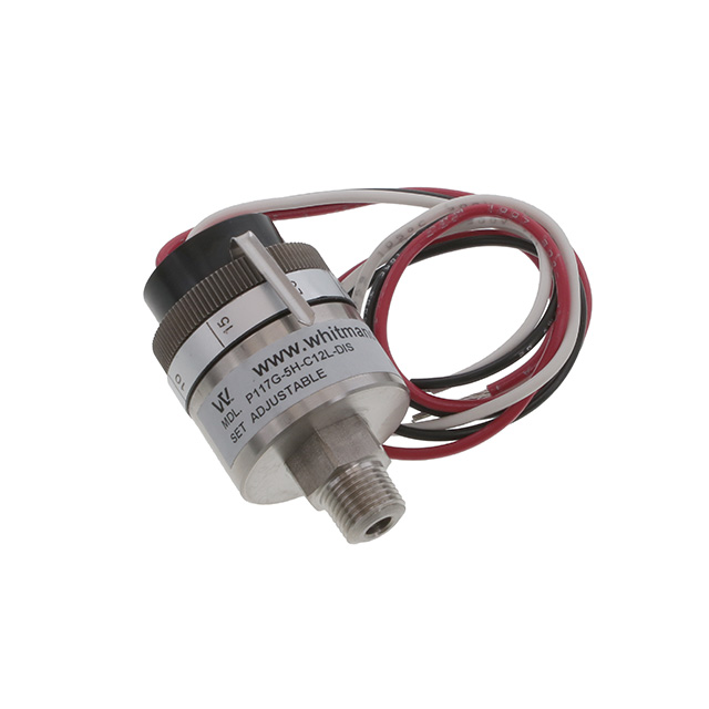 Whitman Controls_P117G-5H-C12L-DIS