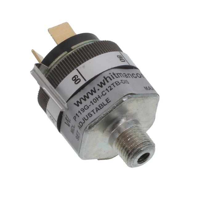 Whitman Controls_P119G-10H-C12TB-DIS