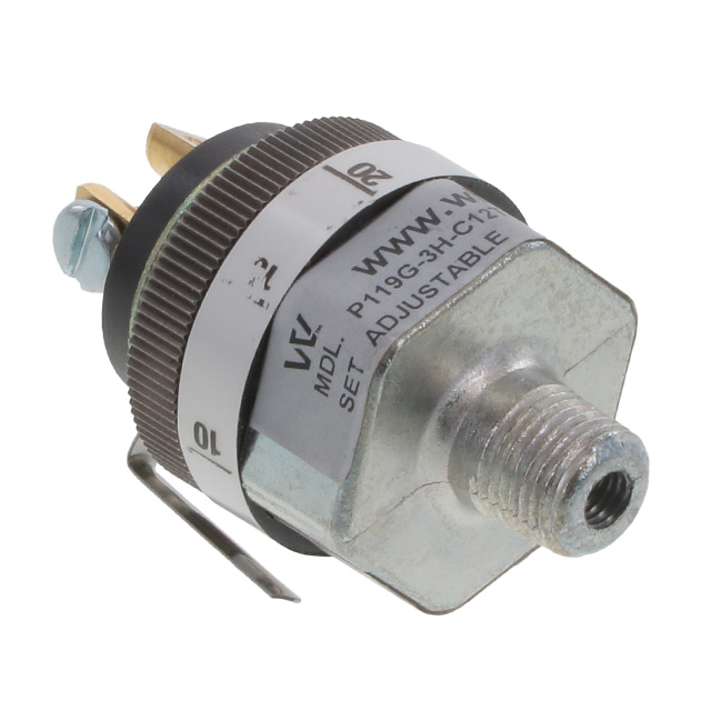Whitman Controls_P119G-3H-C12TS-DIS
